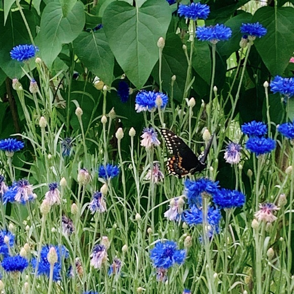 😍See something you must have? - Picture 8 of 16